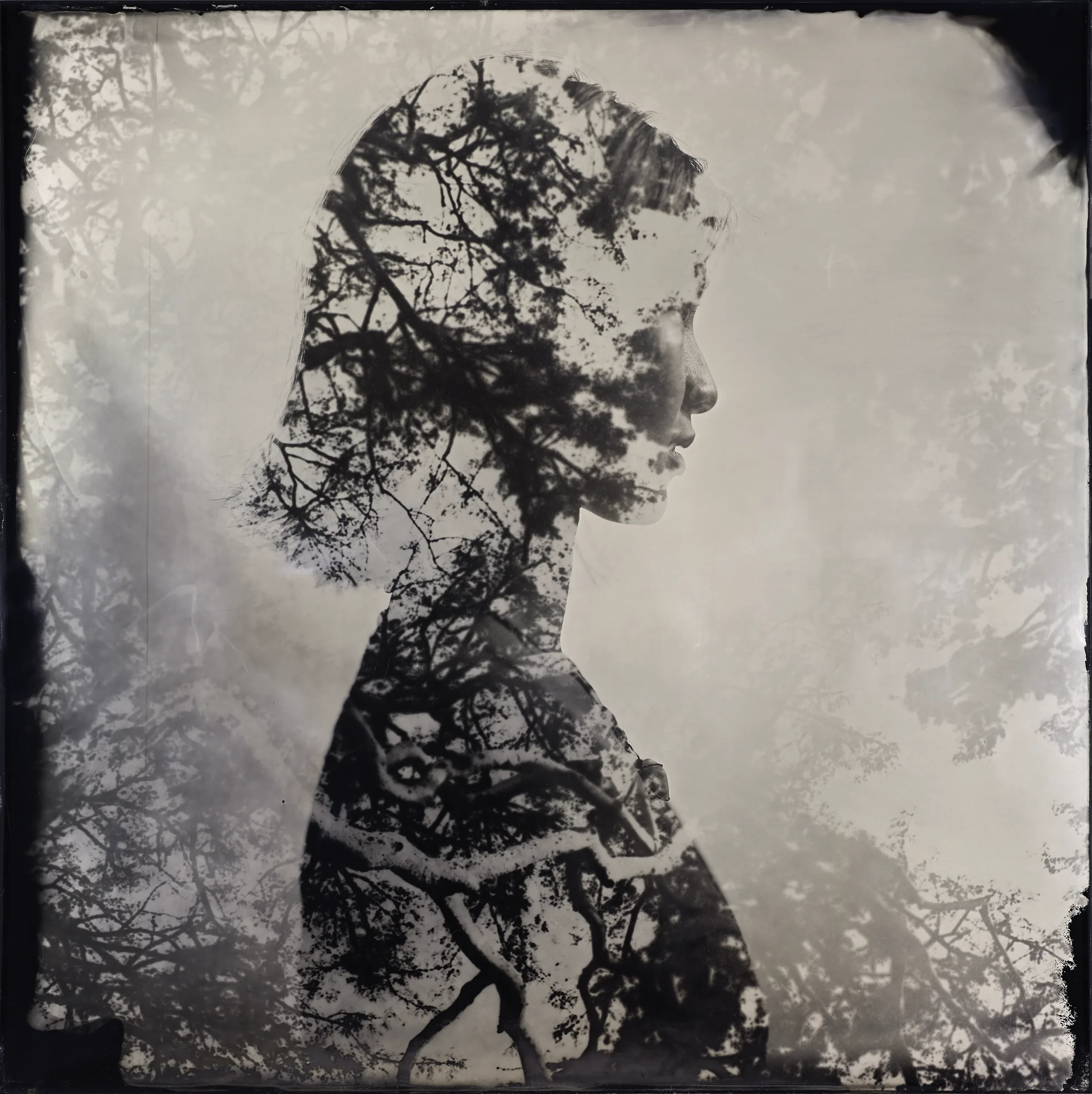 Collodion 50×50 · No. 01