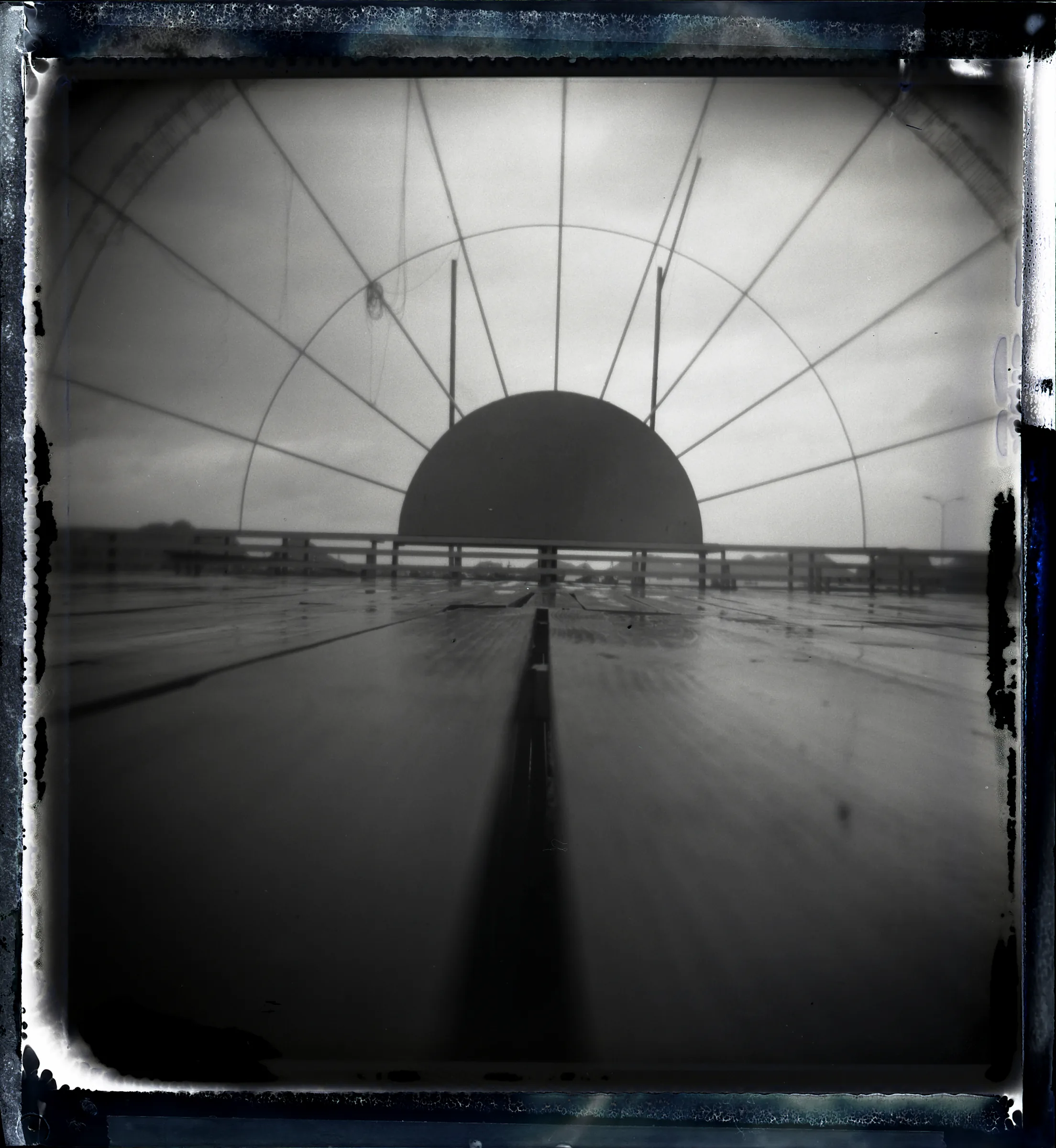 Polaroid 85 · No. 03