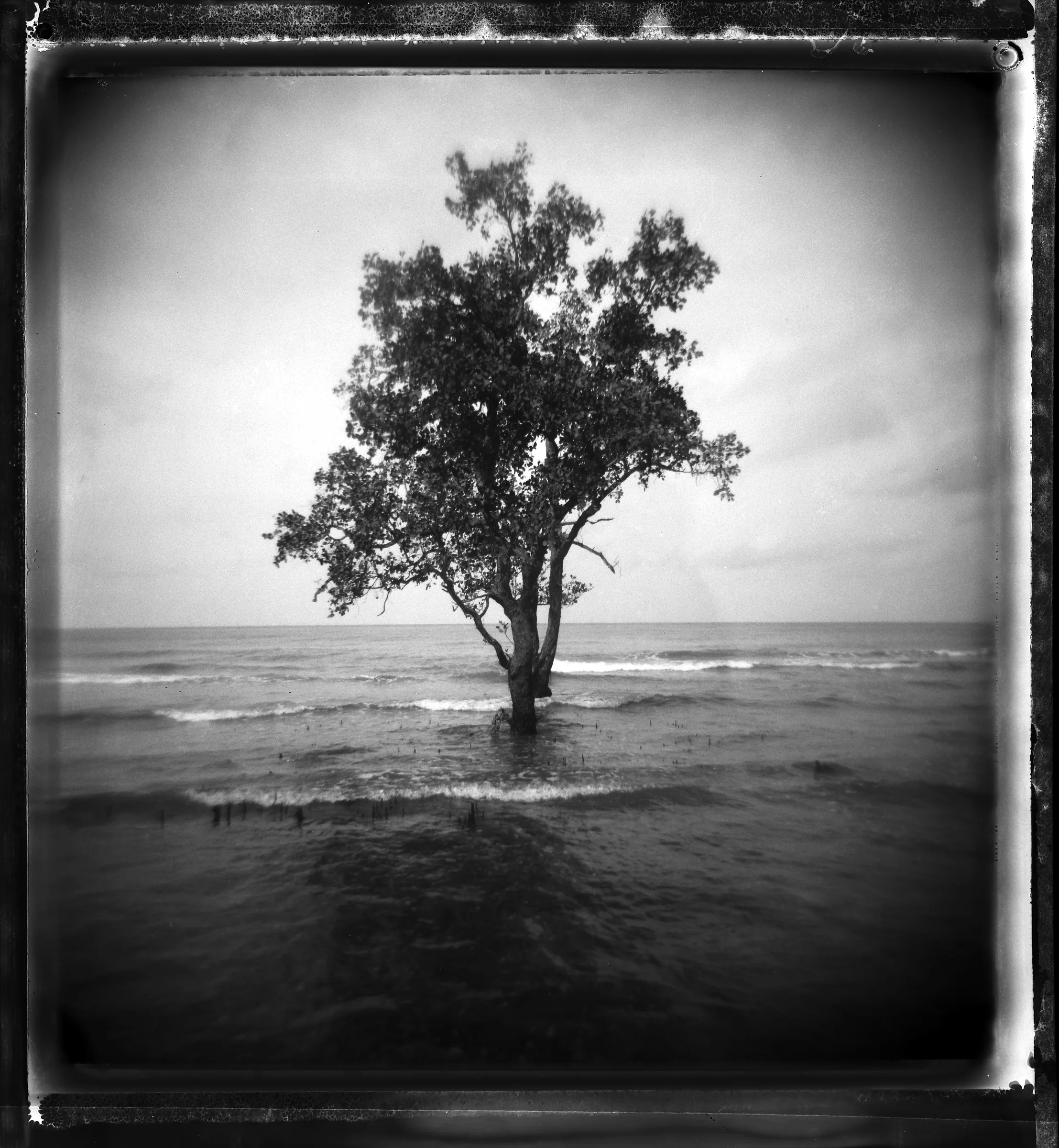 Polaroid 85 · No. 07