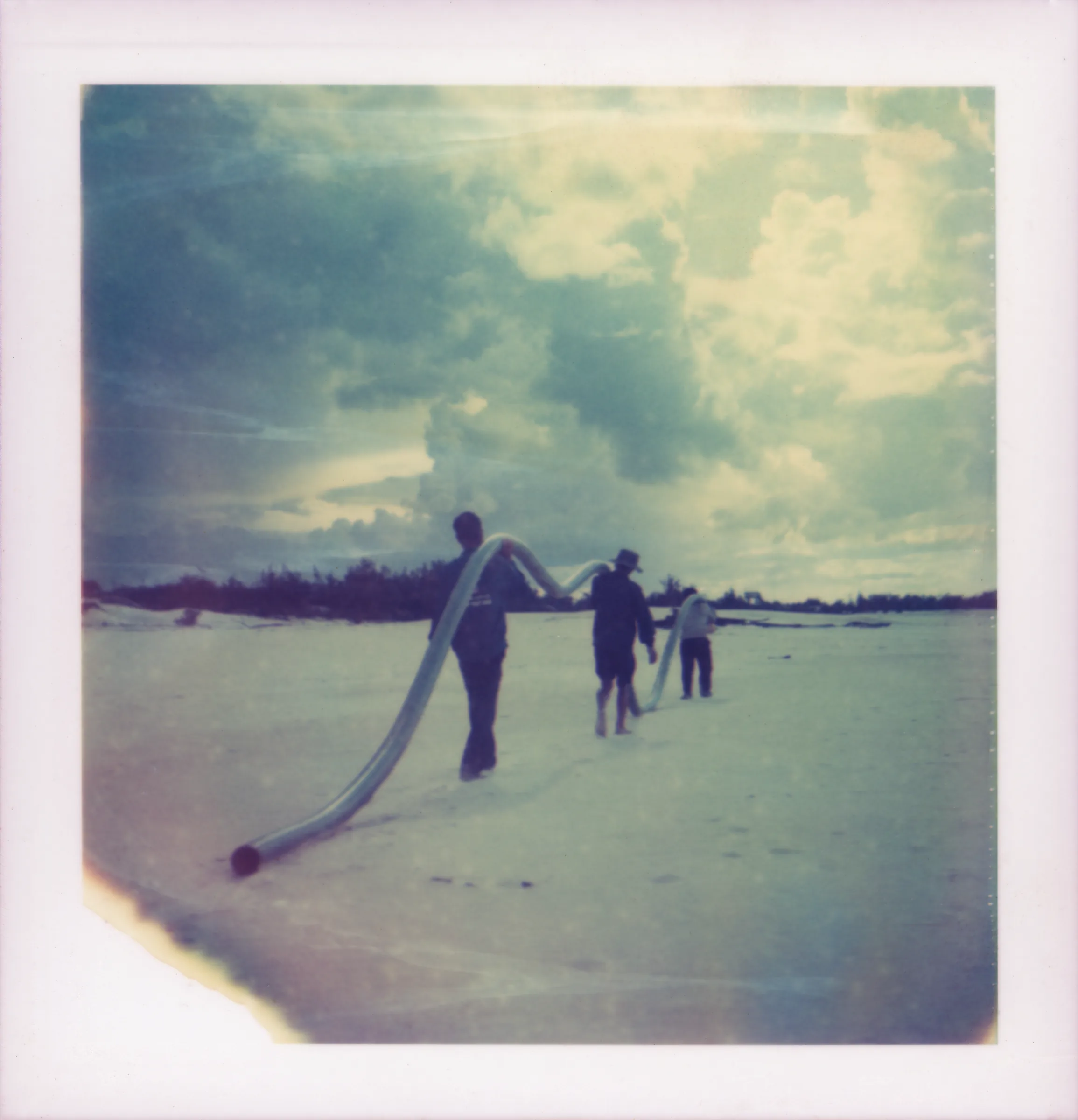 Polaroid 88 · No. 05