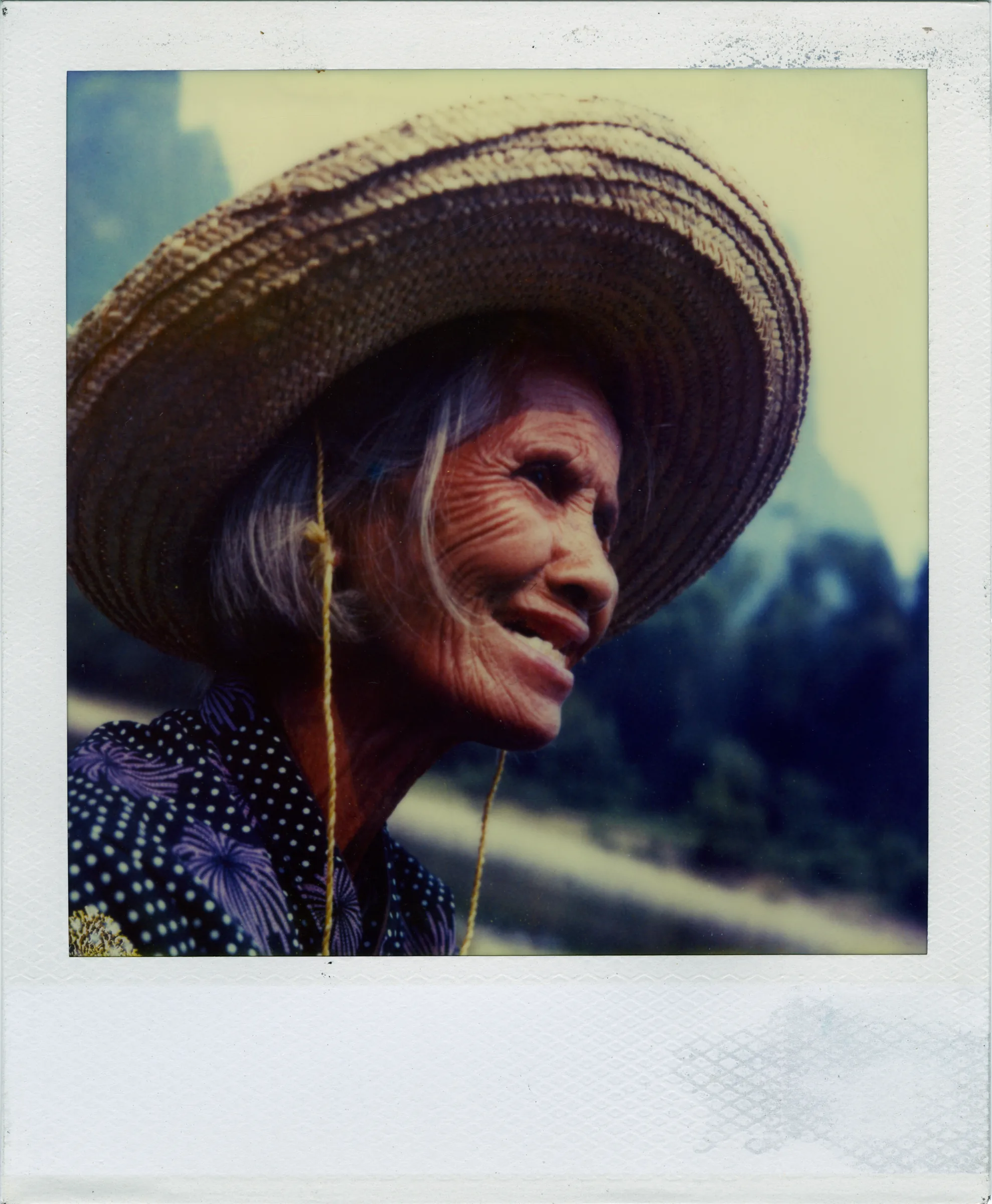 Polaroid SX70 · No. 01