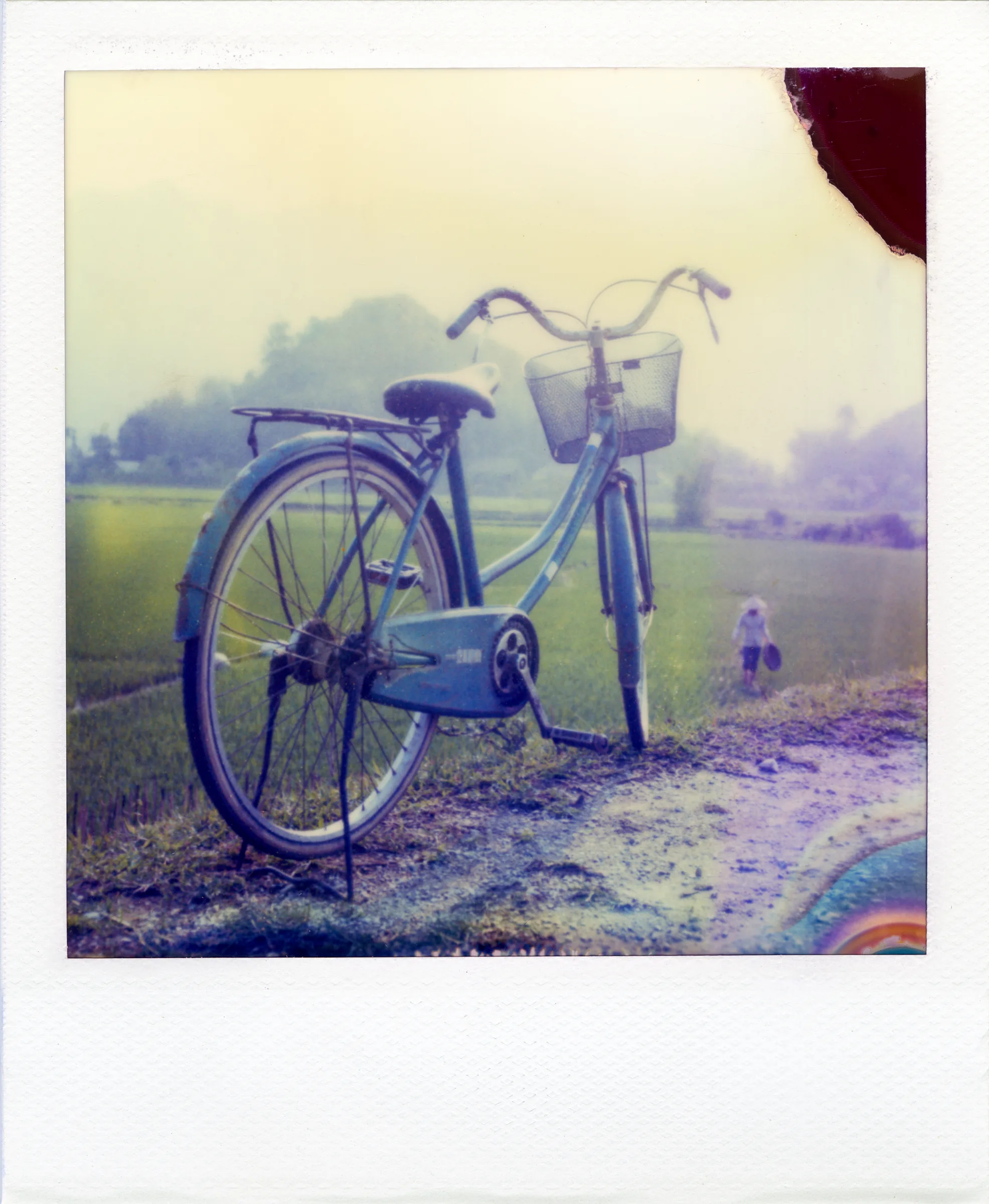 Polaroid SX70 · No. 05