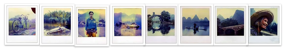 Polaroid SX70 · No. 08