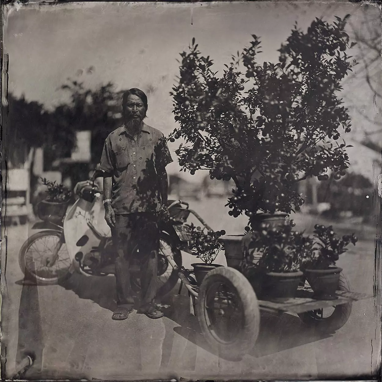 Collodin picture of Vietname man delivering flowers.